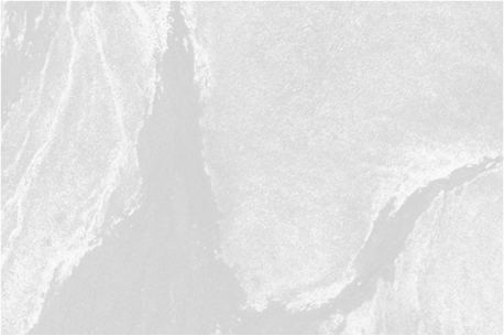 Team member background