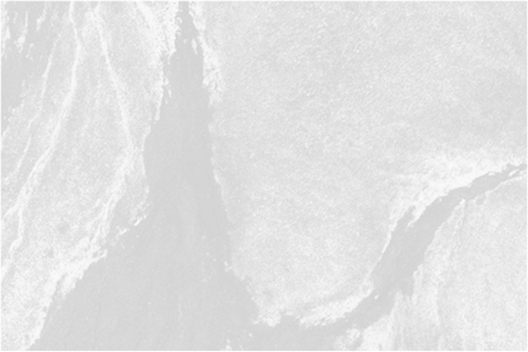 Team member background